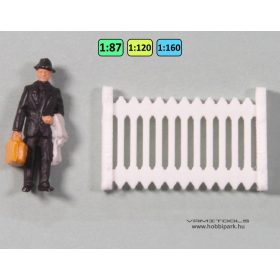 Hungarian railway fence {2114}