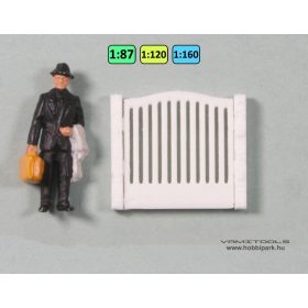 Hungarian railway fence {2116}