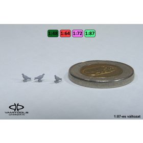 Pigeon {2421} Pigeon {2421}