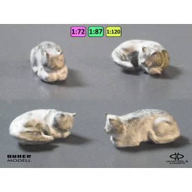 Cat {2460} Cat {2460}