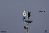 Workers (railway signal) {2607A/B}