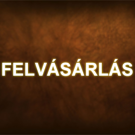 Felvásárlás